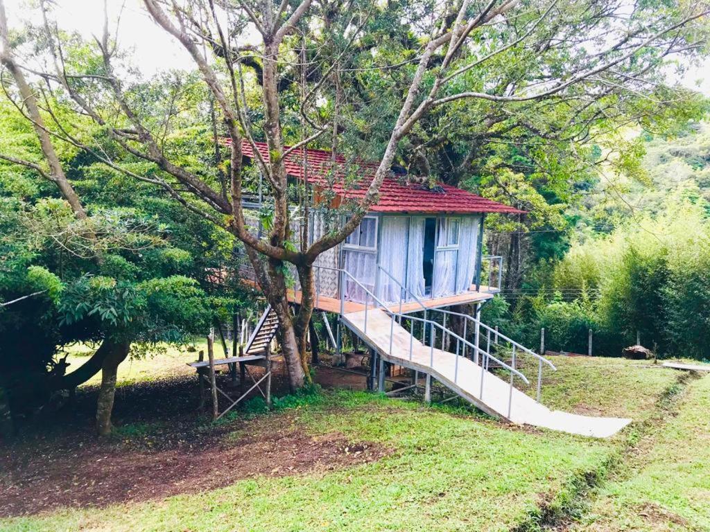 Cabana Treehouse Mountain View San Isidro  Экстерьер фото