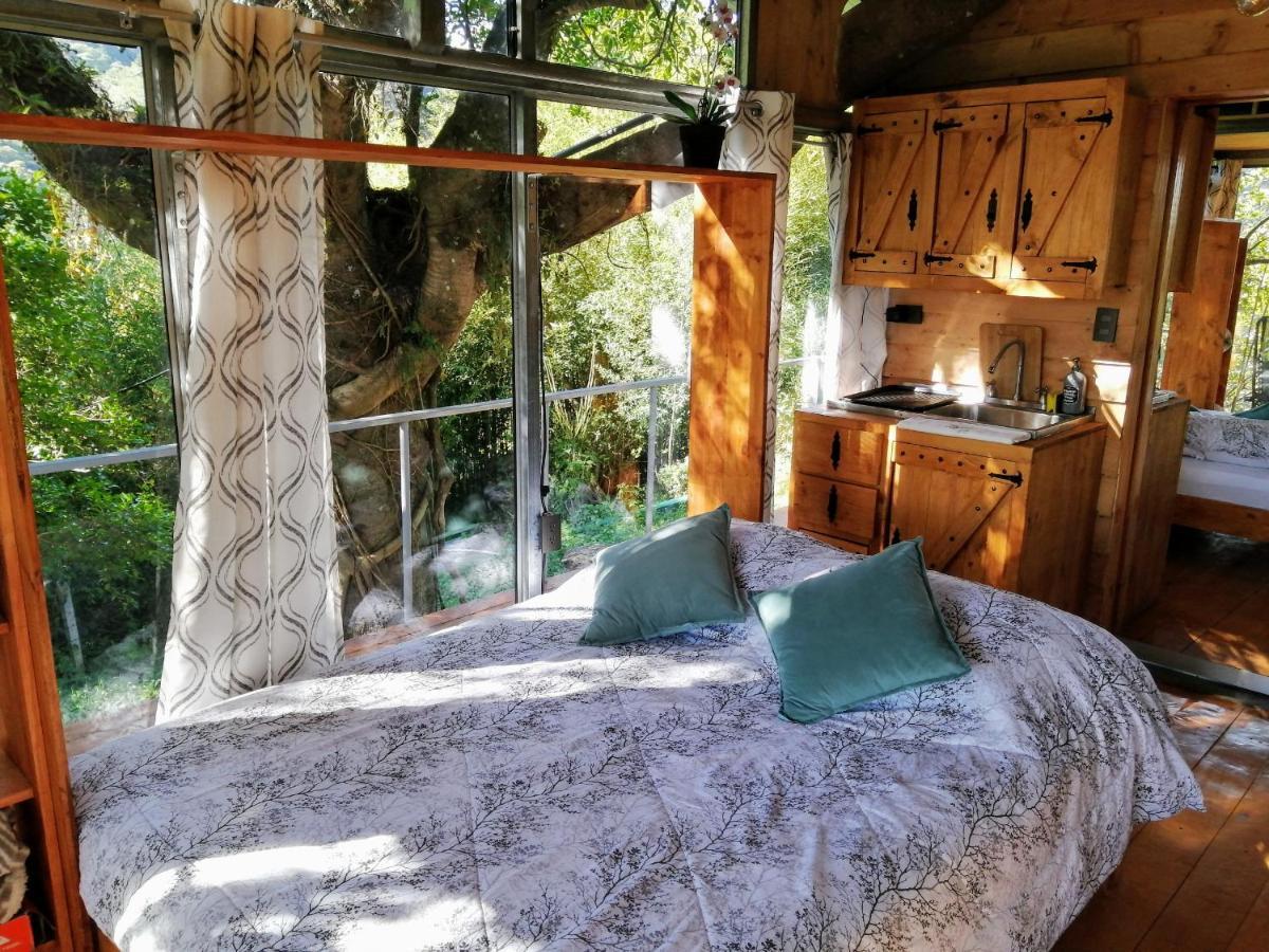 Cabana Treehouse Mountain View San Isidro  Экстерьер фото